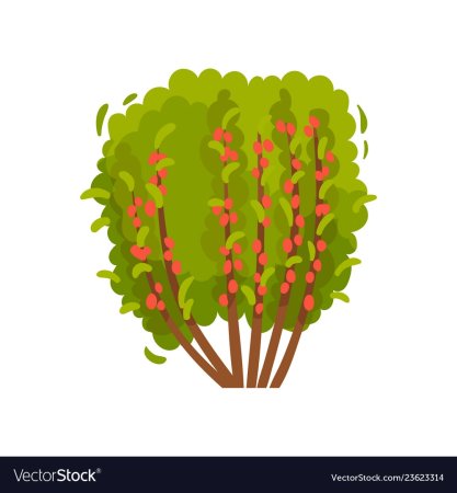 Мультяшный куст с ягодами