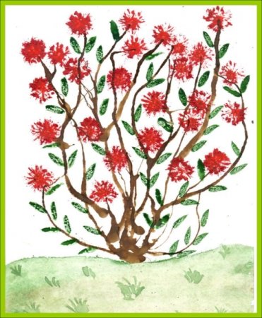 Рисование для детей кустарник