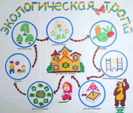 Проект экологическая тропа в детском саду