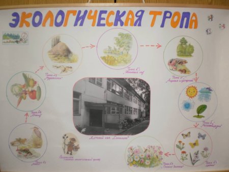 Экологическая тропа в детском саду схема
