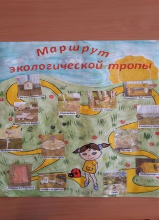 Экологические тропы рисунок