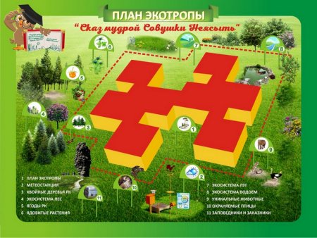 Экологическая тропа в детском саду