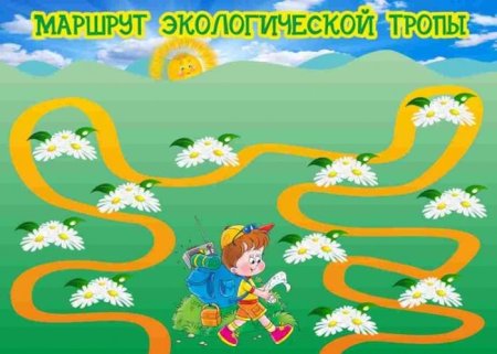 Экологическая тропинка