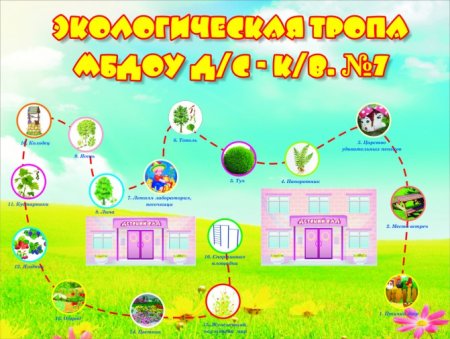 План экологической тропы в детском саду