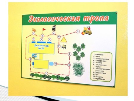 Маршрут экологической тропы в ДОУ