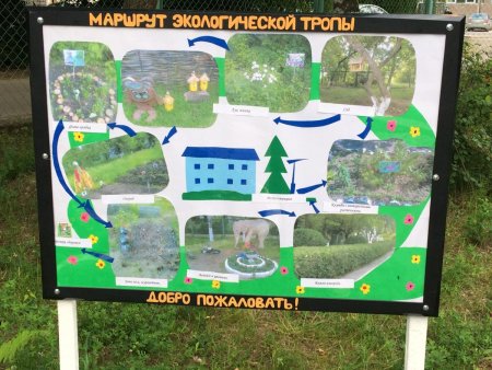 Экологическая тропа в дет саду