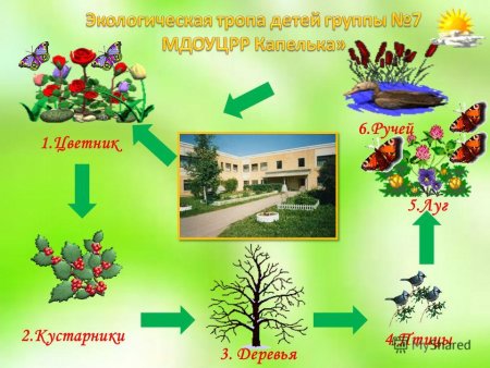 Карта схема экологической тропы