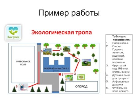 План схема экологической тропы