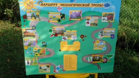 Экологическая тропа в детском саду