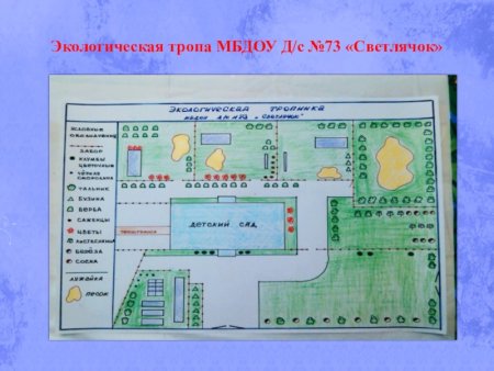 Схема экологической тропы в детском саду на участке