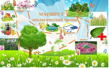 Экологический маршрут в детском саду