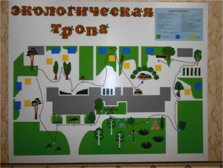 Карта экологической тропы