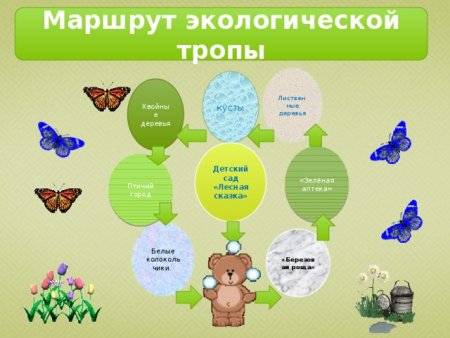 Экологические тропы в детском саду