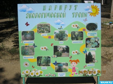 Схема экологической тропы