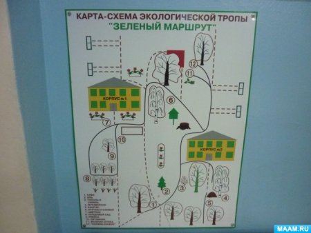 Схема экологической тропы в детском саду на участке