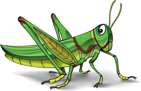 Кузнечик рисунок