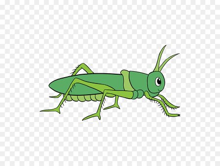 Сверчок для детей