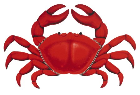 Краб рисунок на прозрачном фоне