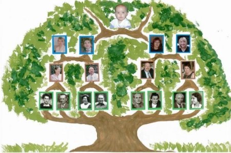 Проект моя семья дерево