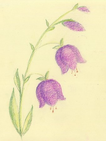 Stabilo пастель масляная Trio 12 цветов