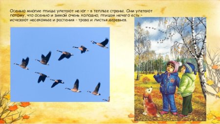 Птицы осенью для дошкольников