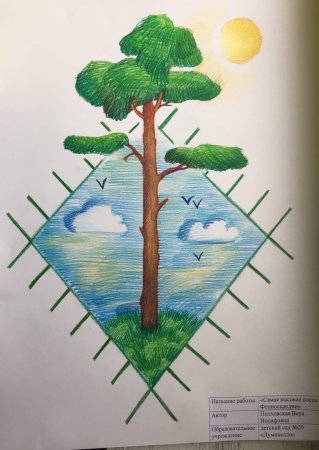 Рисуем Карелию в детском саду