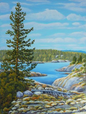 Ладожское озеро картина