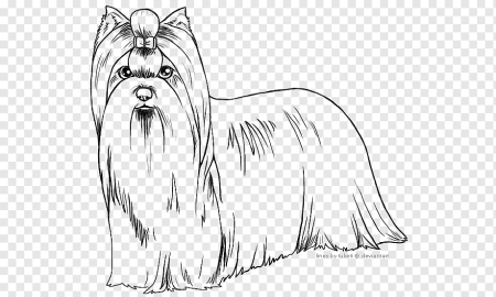 Йоркширский терьер