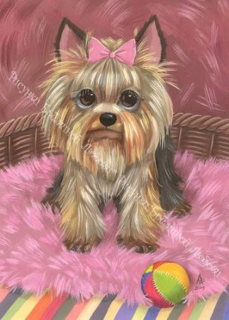 Нарисовать Йорка