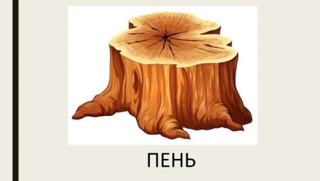 Пенек рисунок