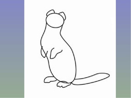 Поэтапное рисование соболя