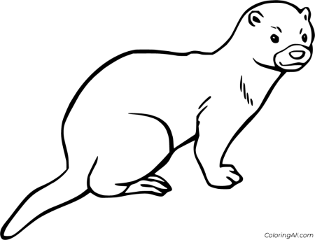 Европейская норка нарисовать