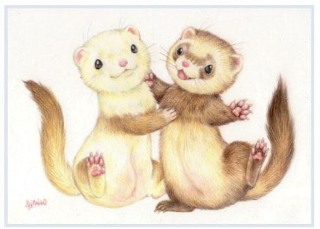 Хорек мультяшный