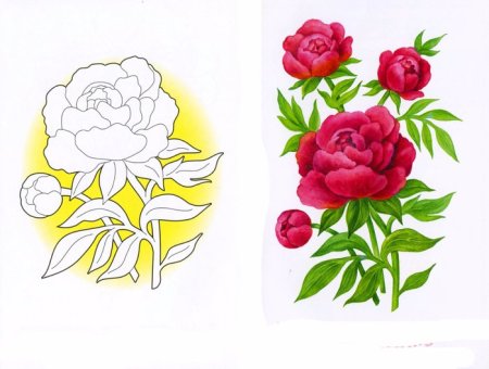 Пионы рисование для детей