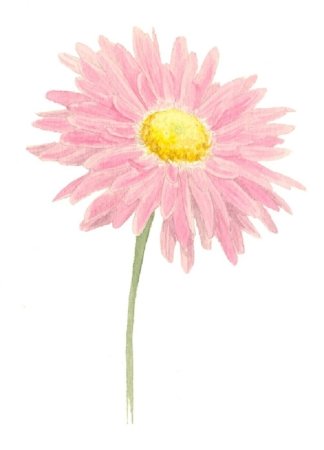 Рисование штрихами цветы