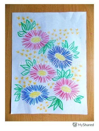 Хризантема Астра бархатцы чб