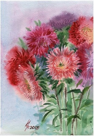 Раскраска Астра цветок для детей