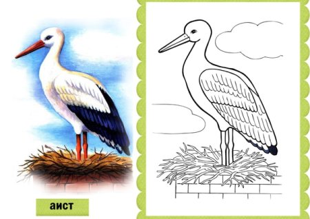 Перелетные птицы для детей 6-7 лет