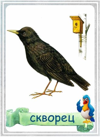 Перелетные птицы для детского сада