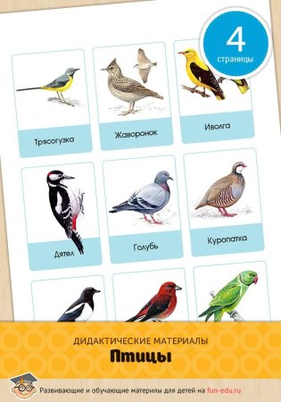 Перелетные птицы карточки для детей