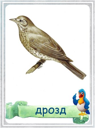 Перелетные птицы карточки для детей