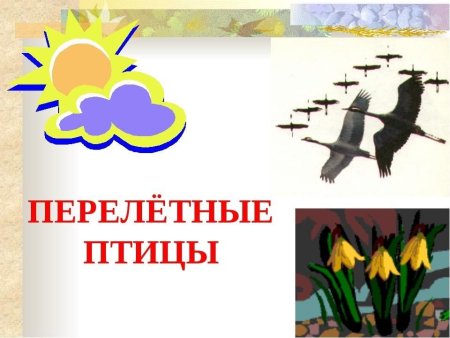 Тема недели перелетные птицы старшая группа