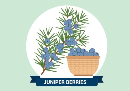 Можжевельник иконка