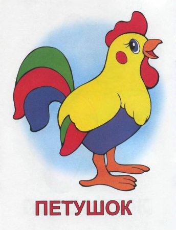 Петух рисунок