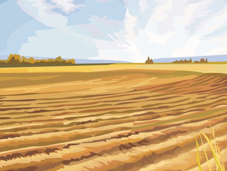 Поле вектор