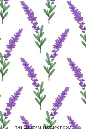 Лаванда нарисованная
