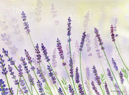 Стилизованная Лаванда