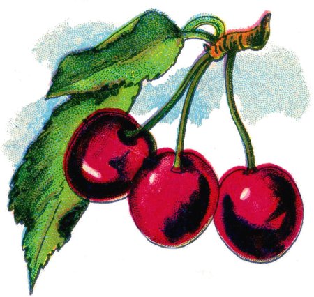 Детские рисунки ягоды (46 фото)