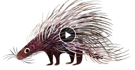 Дикобразы мультяшные