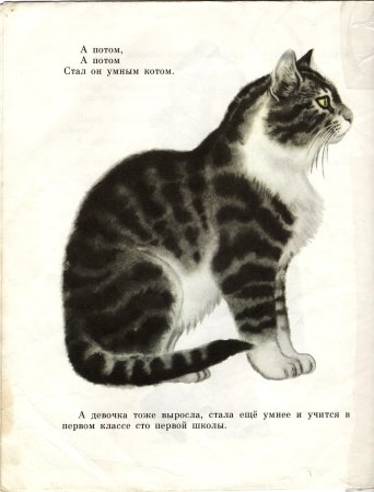 Иллюстрации к сказке Усатый полосатый